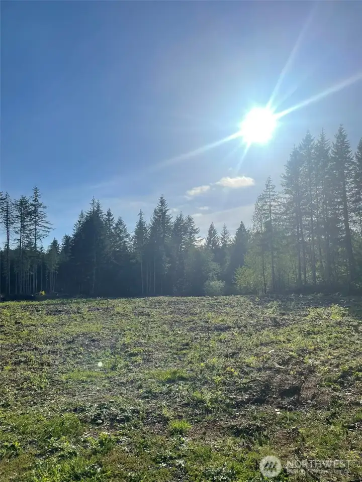 Now the view to the far left and boarder of property on left. Which is tree lined.