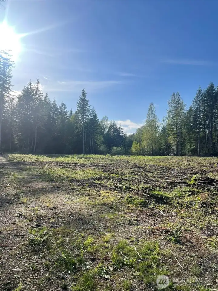 Right side view from corner of property.