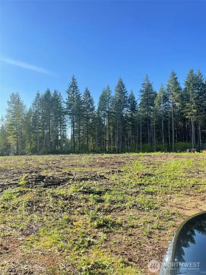 More interior to show the full expanse of the area cleared just waiting for your dream home to be built.