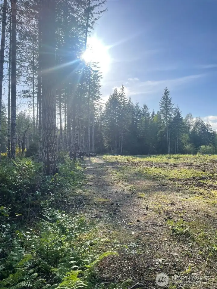 Left side of property. Road goes all the way to the back.