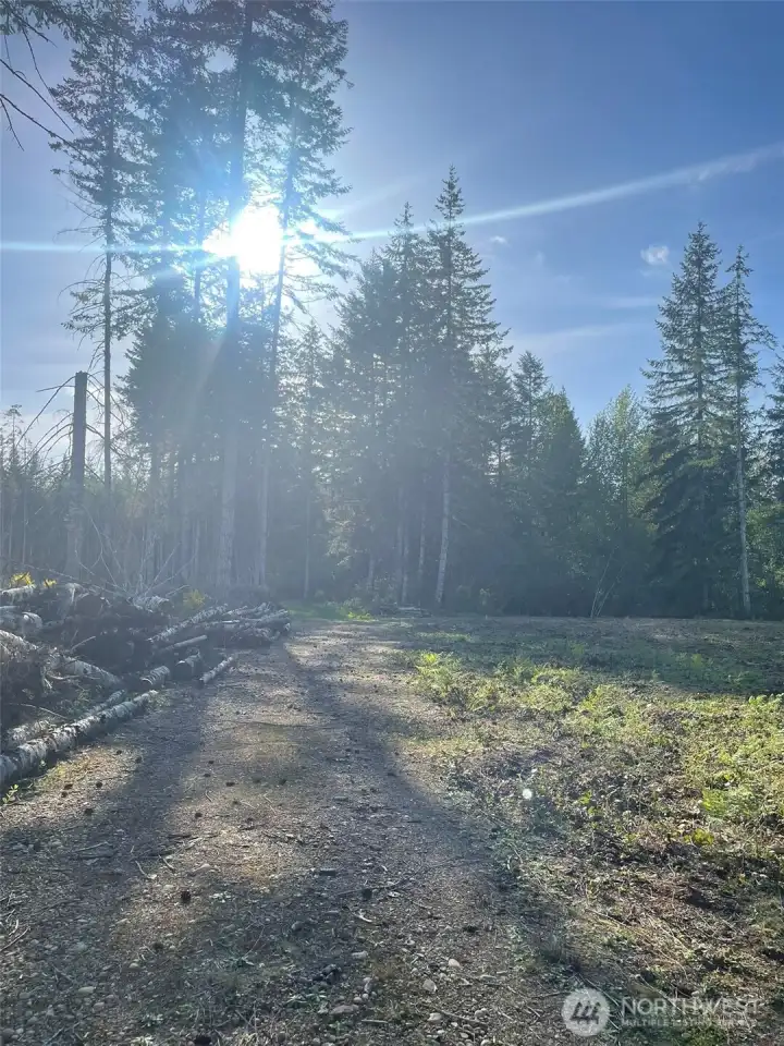 More of the left side.