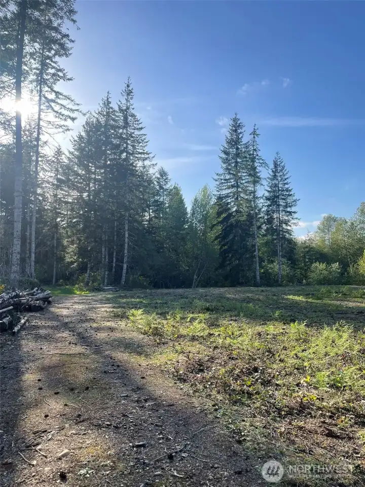 Closer now to the back of the property.