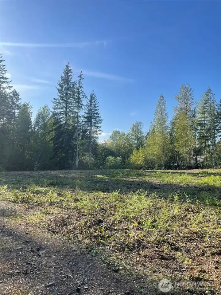 Driveway turns to the right well before the back of the property.