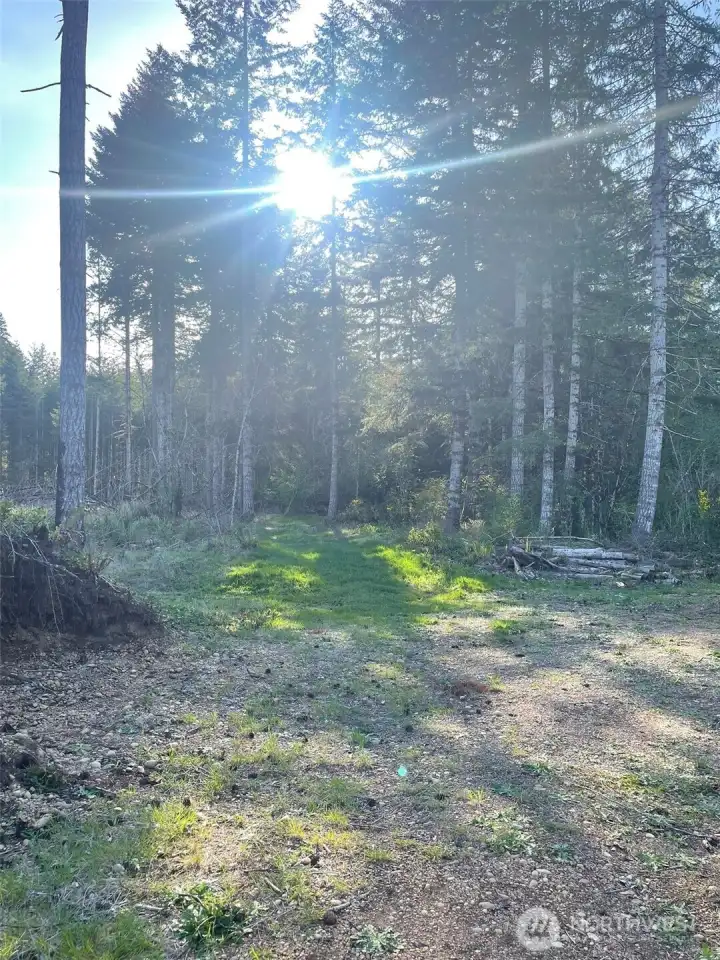 Road along the mid back of the property.