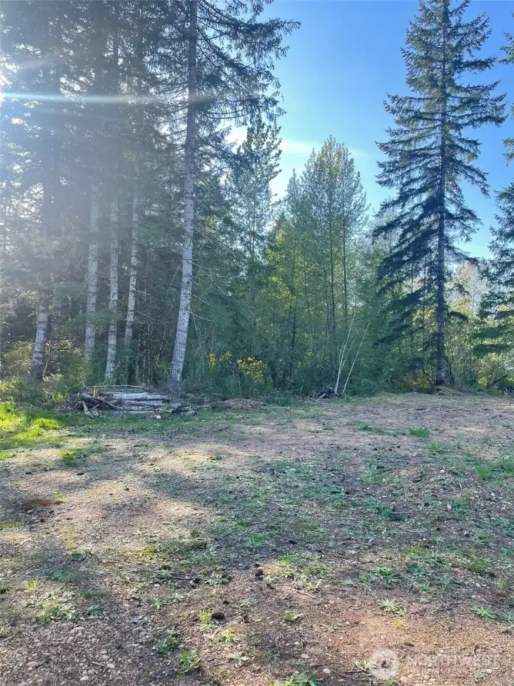 Area mid back of property.