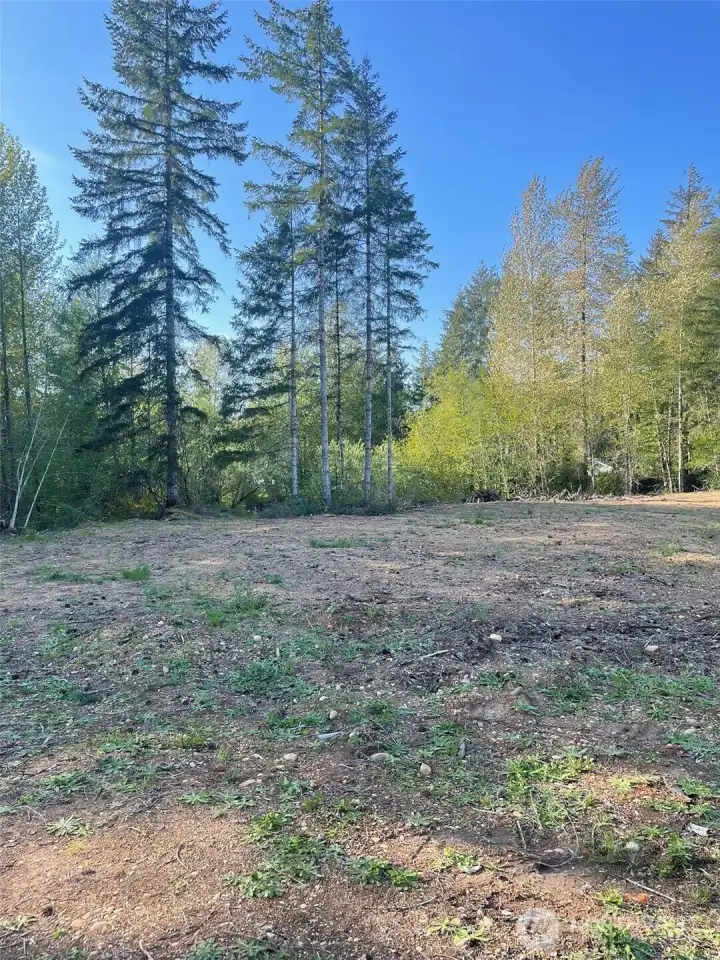 midway to back of property.