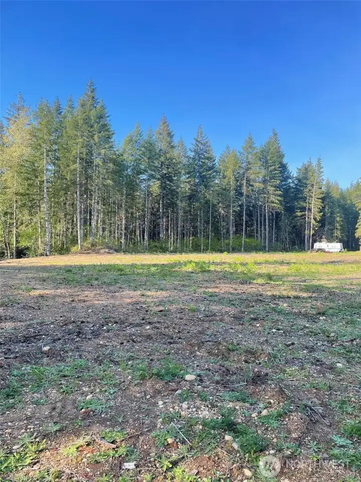 view of interior from midway back of property.