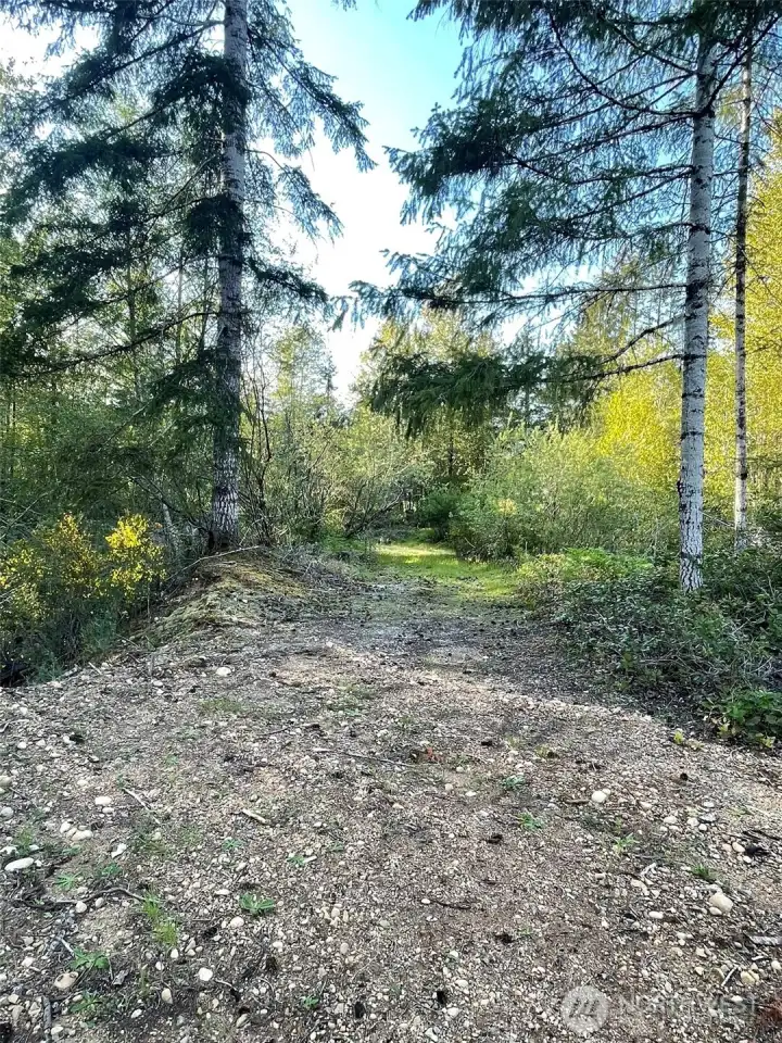 Driveway keep going into a loop at the back of the property. This will be blocked as there is a drop off. Please get out and walk from here.