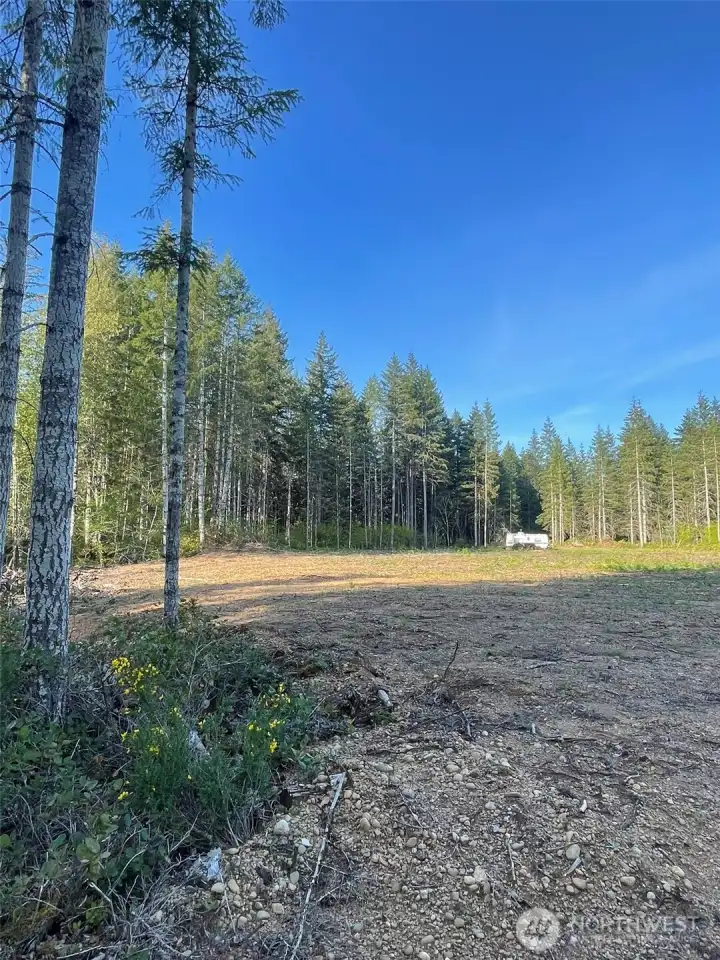 View from the mid back.