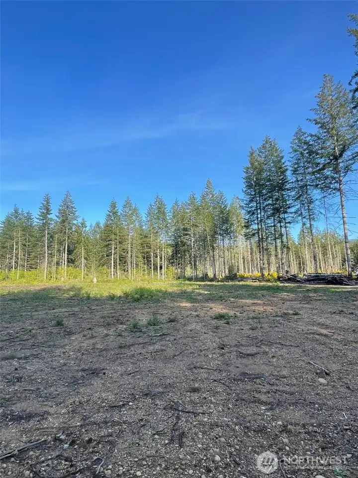 View from mid back and to the right ( but is the left side from the front of the road)