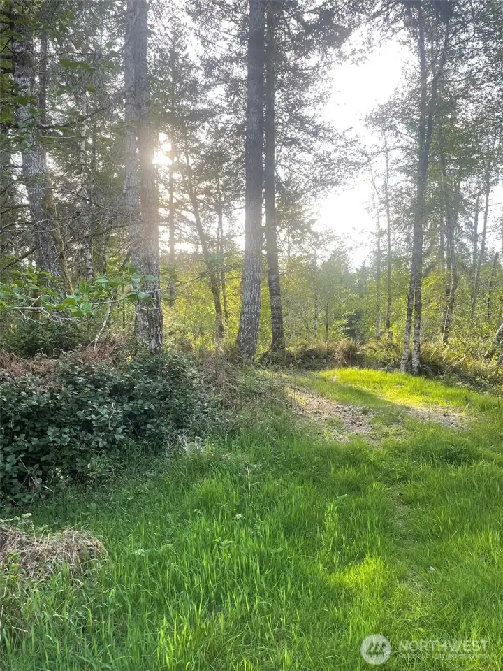 Moving on to the back of the property, the backyard offers a great space for outdoor activities and relaxation.