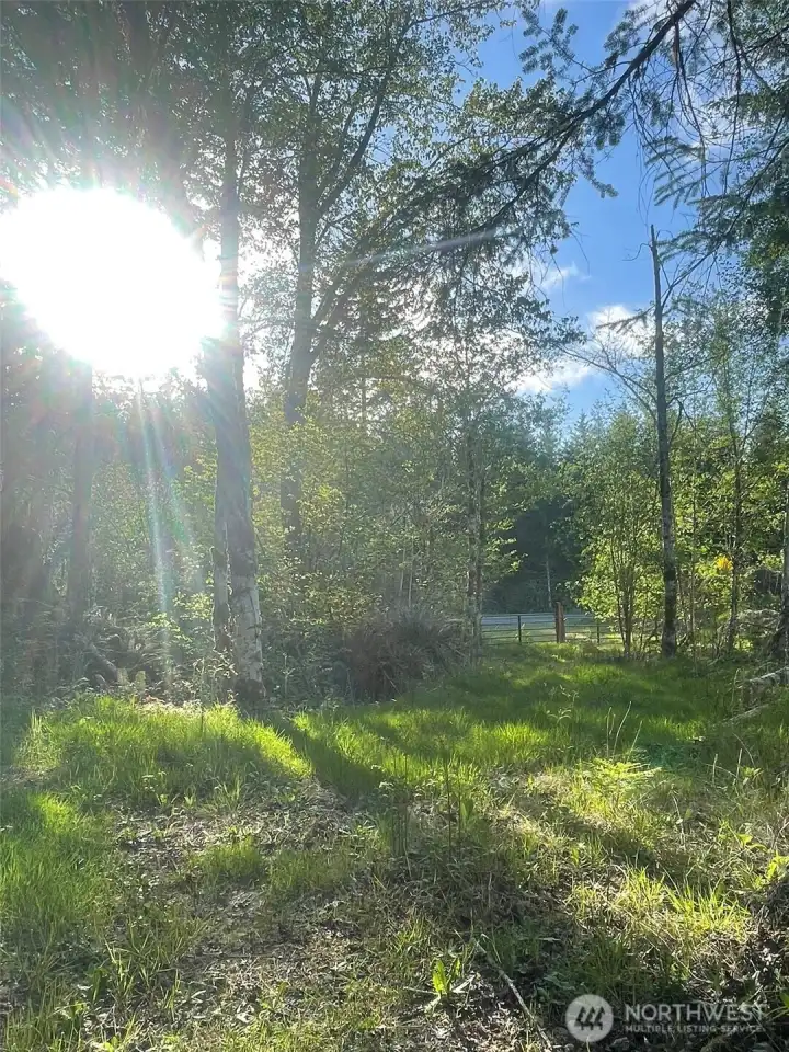 Bigger view of the same area.