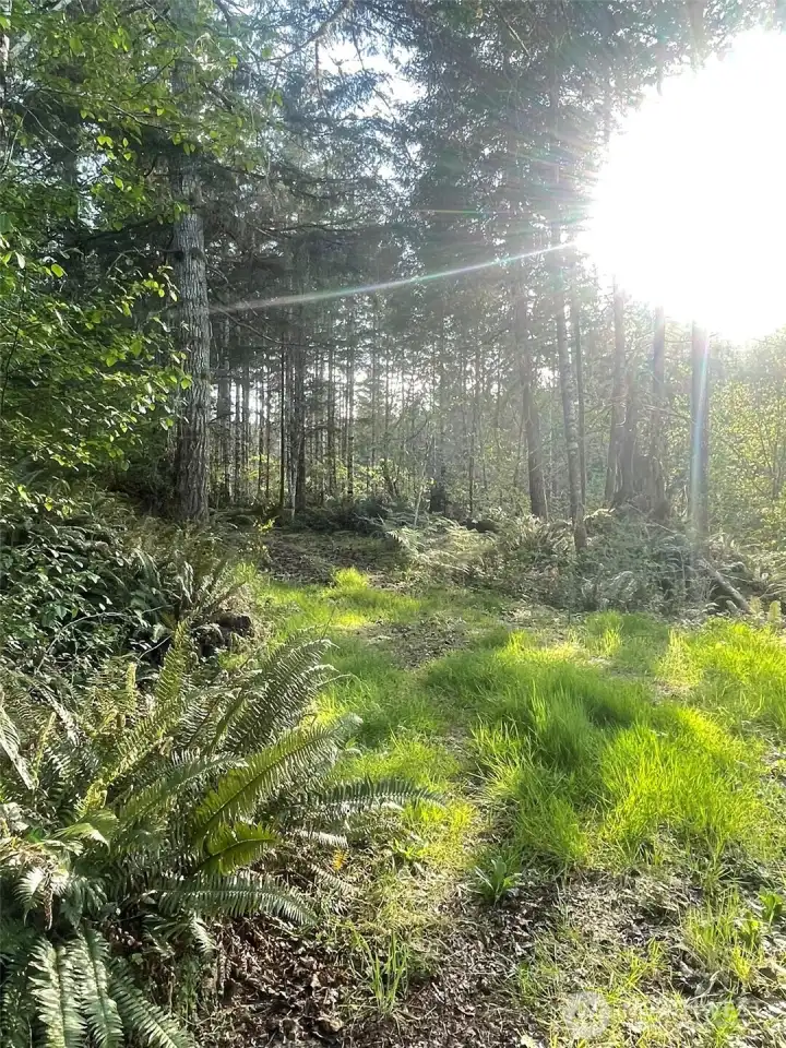 Part of the driveway that loops around to the other side of the property. All driveable with a small car but will be blocked off as there are drop offs. So you can walk it.