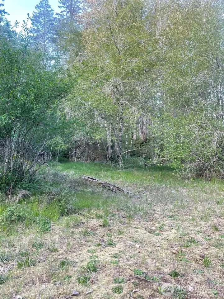 More area to walk around and enjoy all the hard work already done for you.