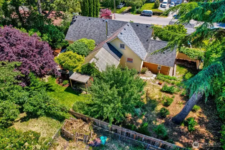 Lots of stately evergreen trees along the street, pine tree, fir tree, all sorts off foliage, annual flowers, native plants, various types of maple trees.
