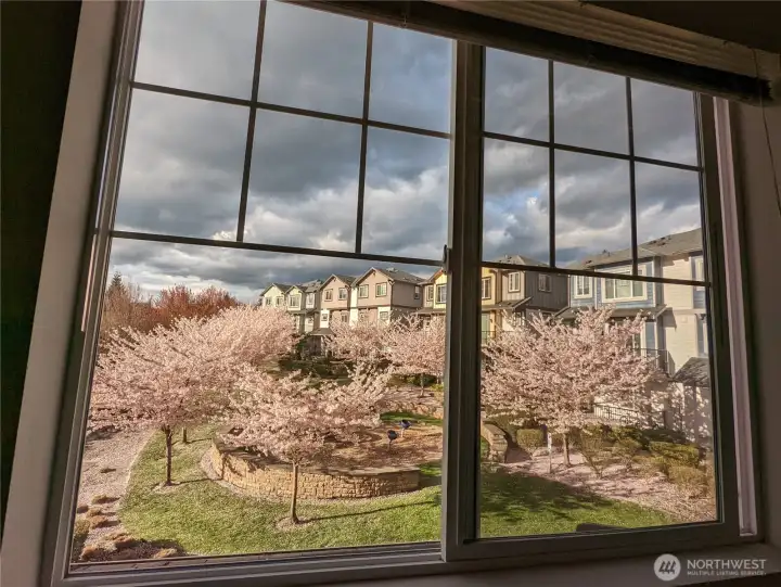 spring view from the second bedroom