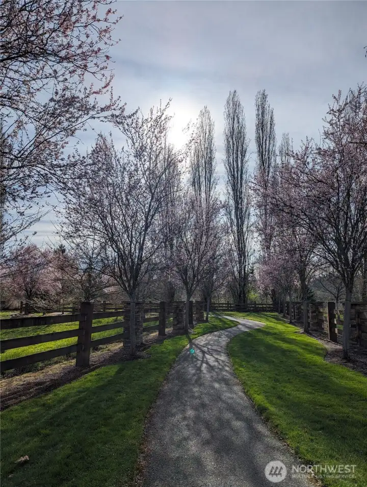 community trails (managed by HOA)