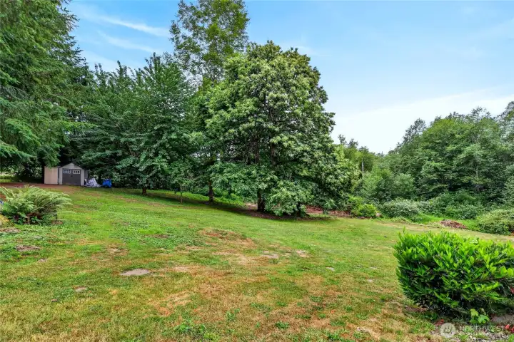 Horse Property or dogs, pets dream