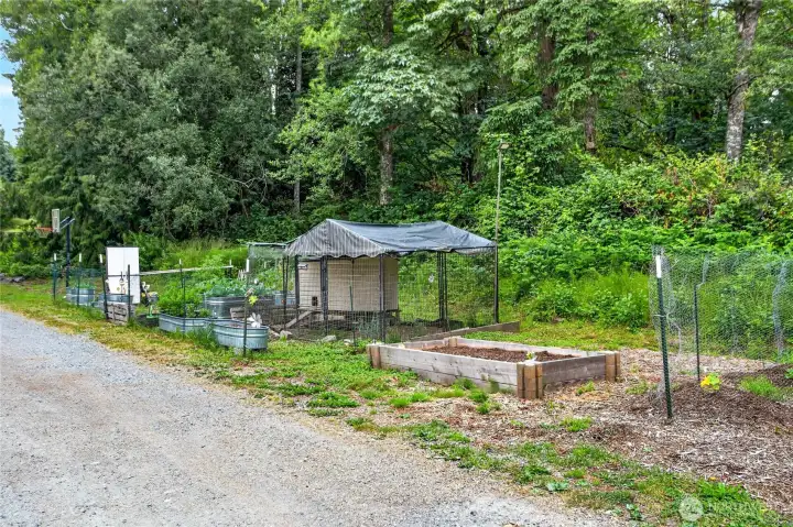 Chicken coop