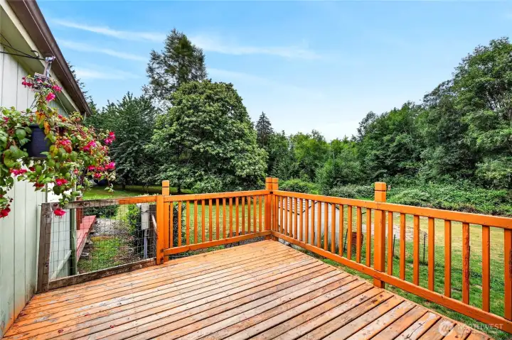 Large Deck with great views of back yard and nature