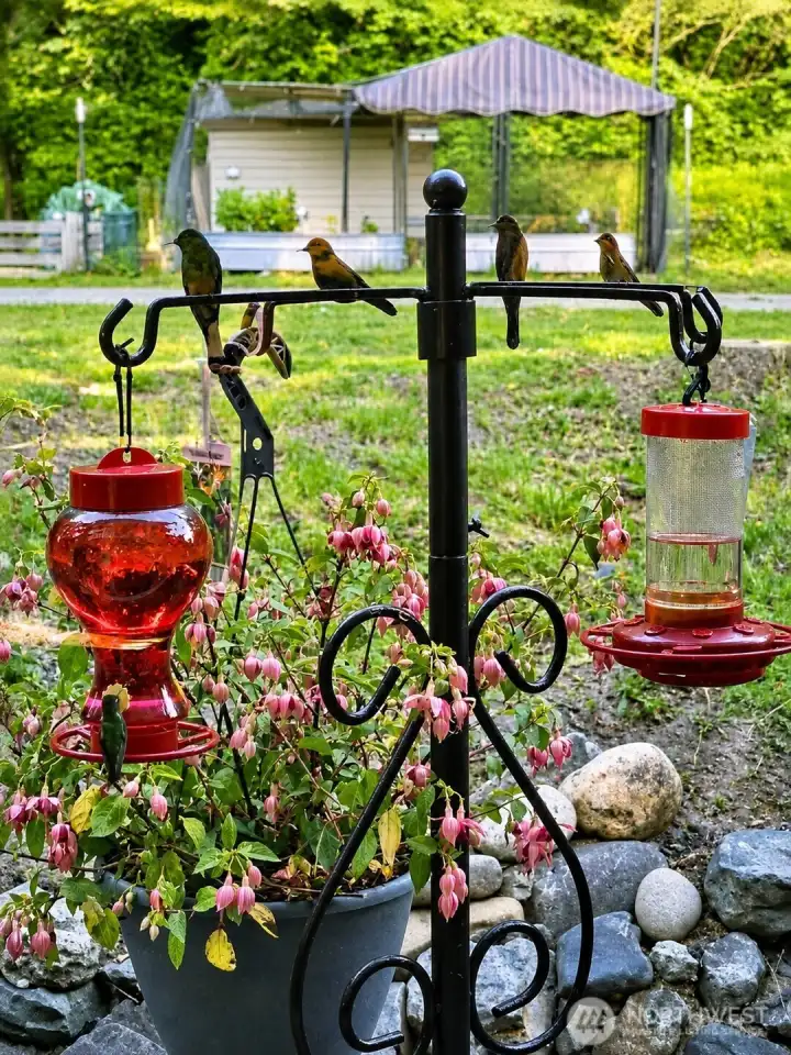 Beautiful Nature hummingbird feeder