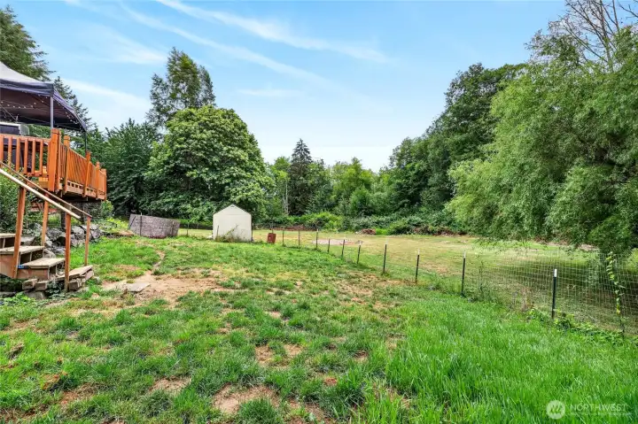 Large Backyard