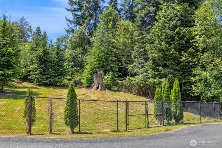 Back gate to yard off culdesac