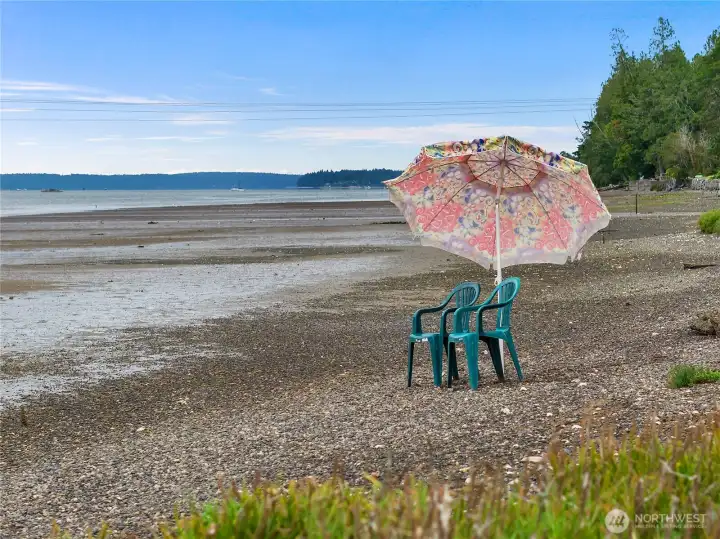 Low tide perfect for digging for clams & Oysters Low tide perfect for digging for clams & Oysters
