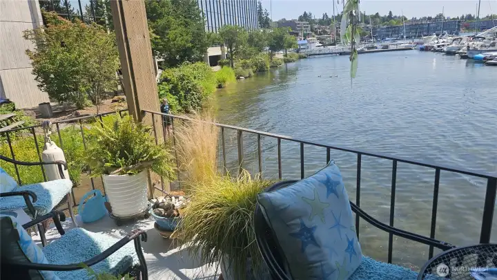 Left view along shore from deck