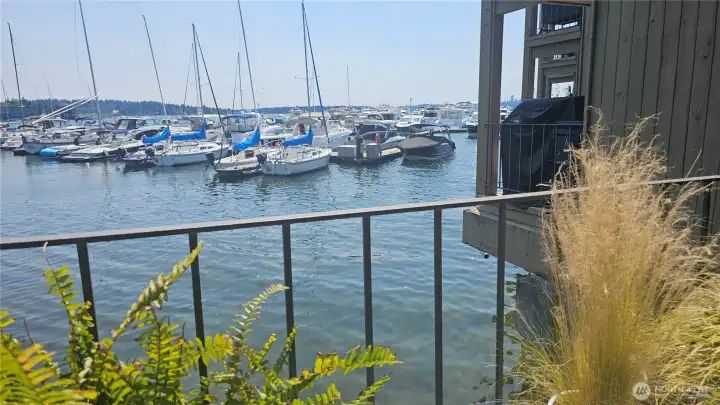 wide right view from deck