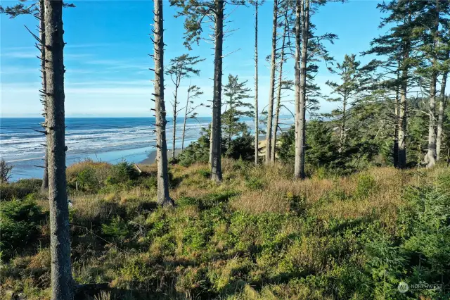 View of the Ocean from the edge of the cliff (not taken from the property).