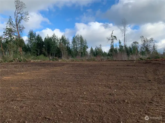 first clearing of the land