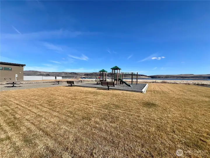 Large grassy area is a great location for playing fetch with your dogs or a game of flag football!