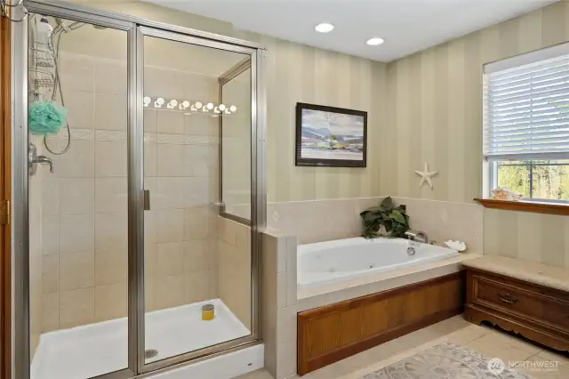 Shower/Soaking tub