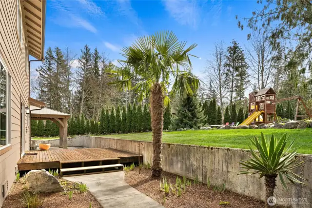 Backyard