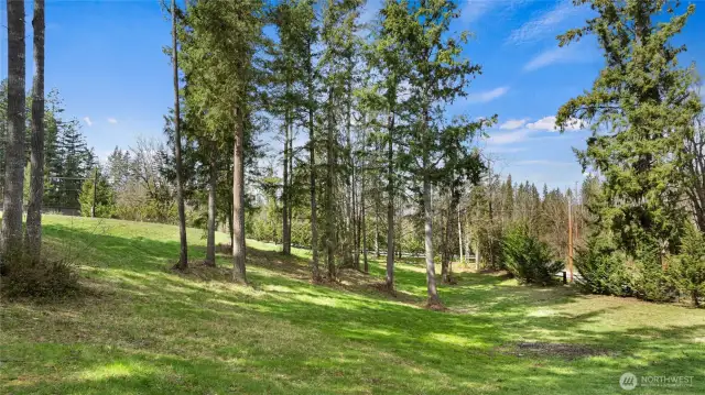Pasture area, full fenced bring the horses or farm animals home sweet home!
