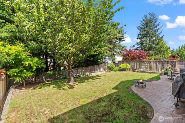 Beautiful backyard just in time for summer!
