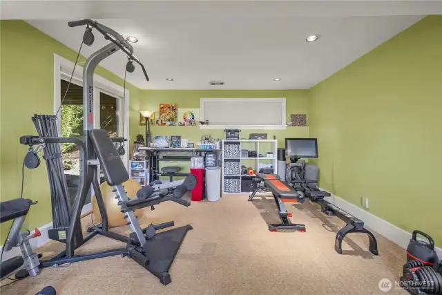 The Family Room, with its great adaptability, also provides Access from this area to the Lower-level Patio and Backyard. On the other side of the wall on the right is the, previously mentioned, Extra-Finished Room.  This space offers potential for an easy 4th Bedroom.