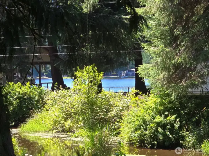 Peak a boo view of the lake