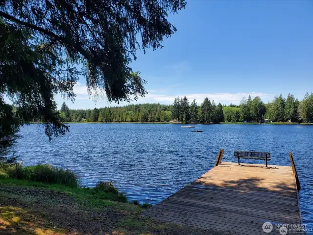 Community fishing and swimming dock