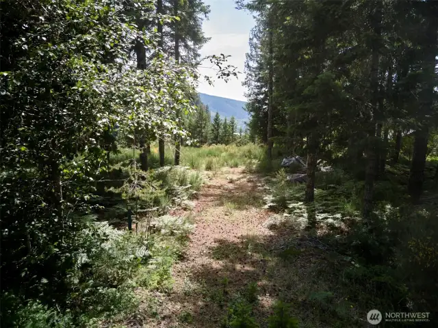 Homesite