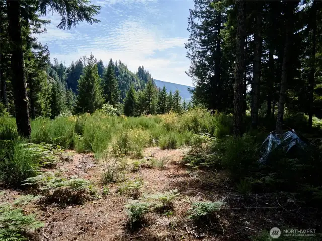 Homesite