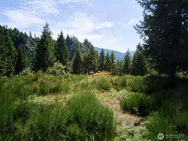 Homesite