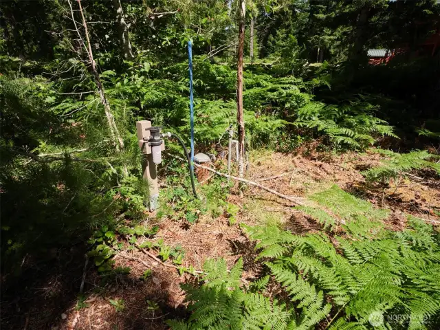 Individual Well