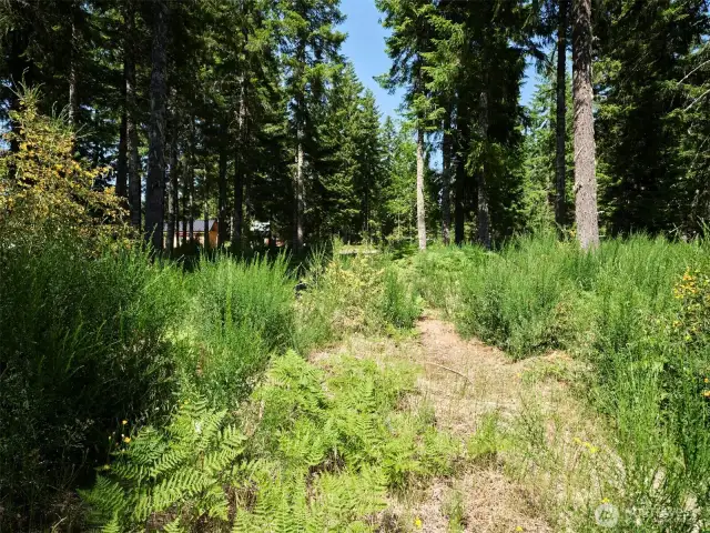 Homesite