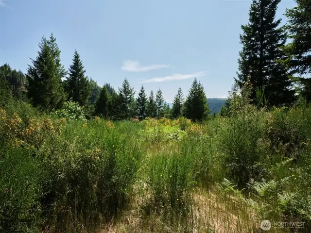 Homesite
