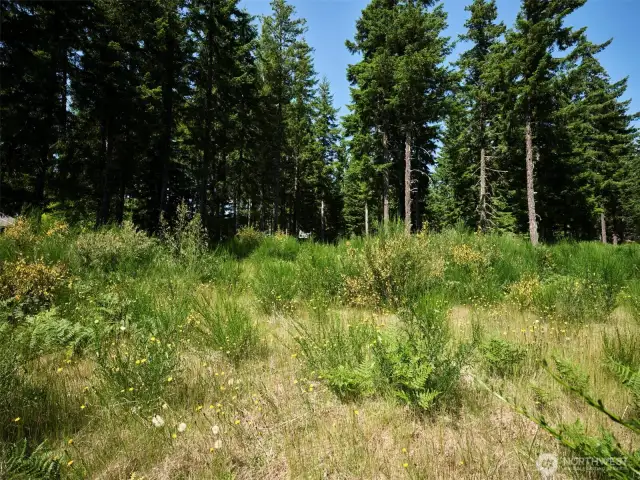 Homesite