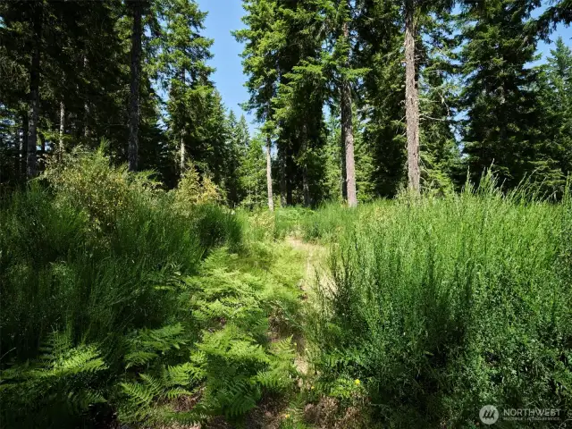 Homesite
