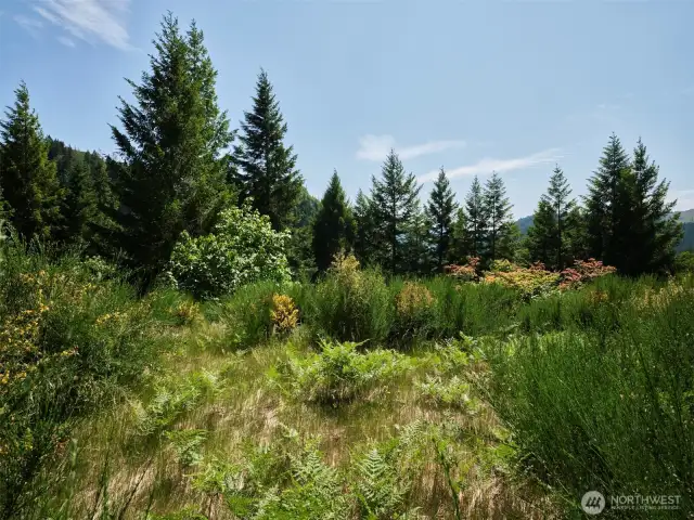 Homesite