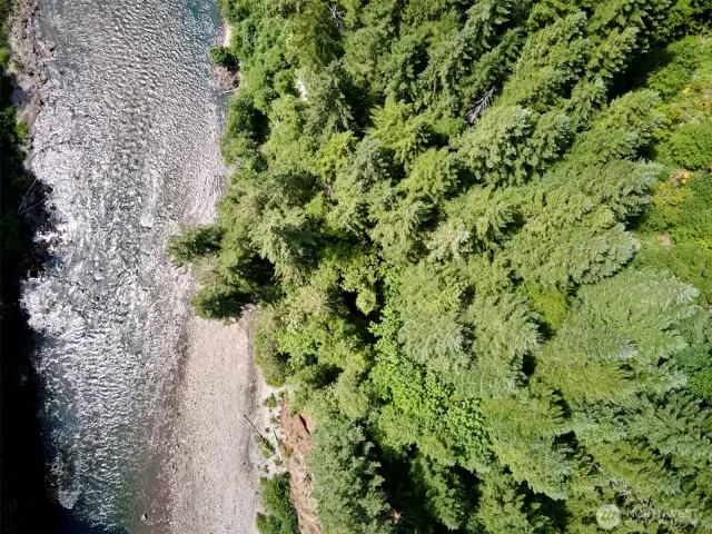 Lewis River